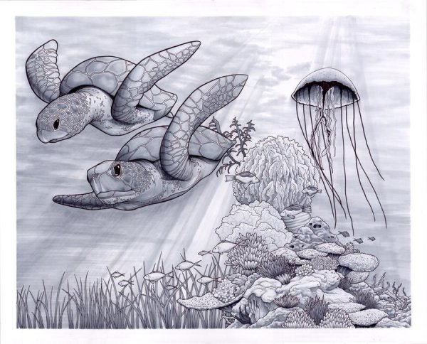Рисование подводный мир