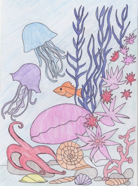 Морские животные раскраска для малышей