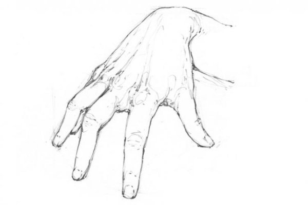 Кисть руки рисунок