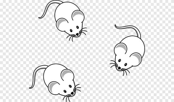 Маленькая мышка рисунок