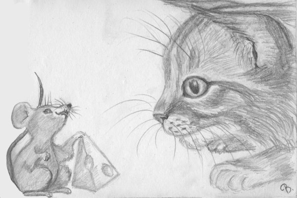 Кошка и мышка рисунок