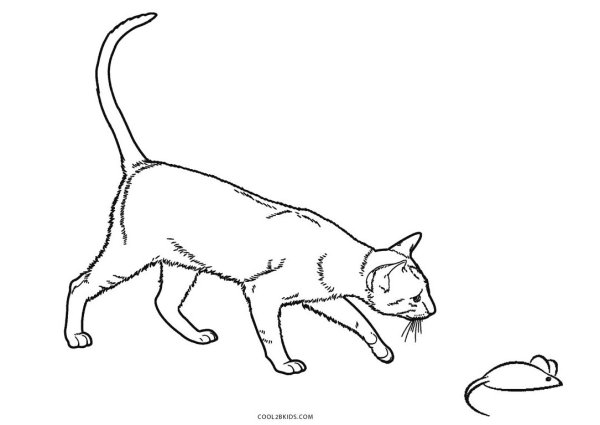 Кошка ловит мышь рисунок