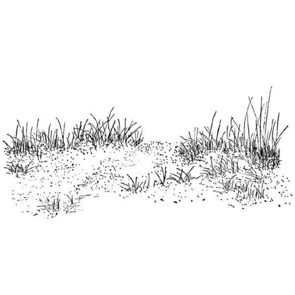 Трава эскиз