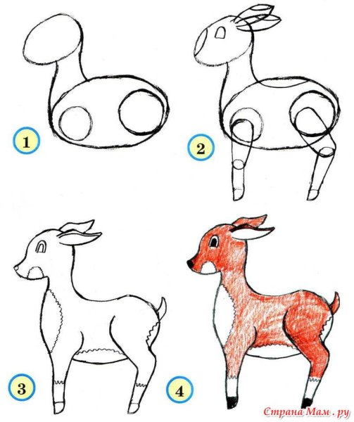 Рисование животных