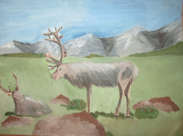 Рисунок на тему тундра