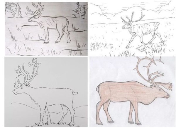 Тундра рисунок