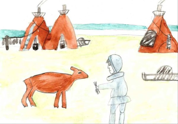 Тундра рисунок для 4 класса