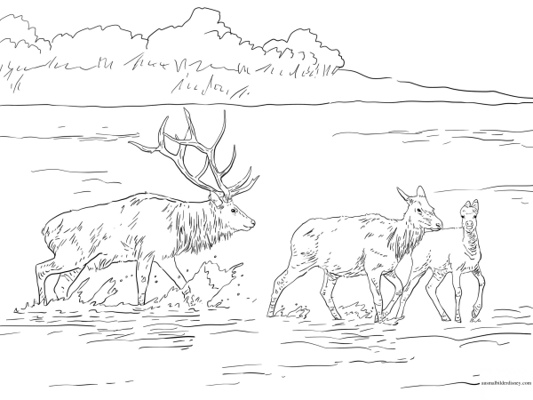 Ненцы зарисовки