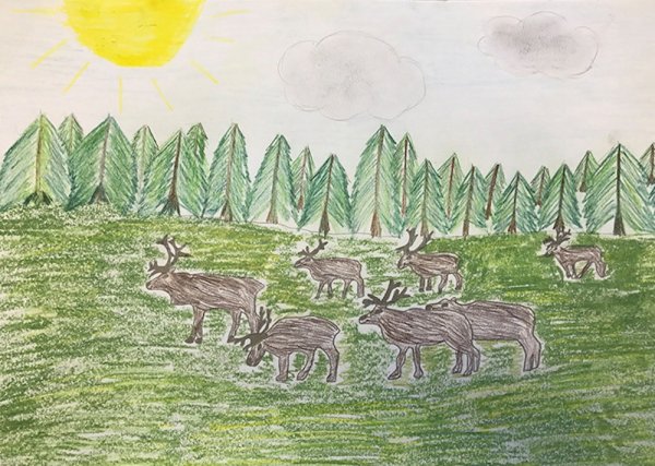 Тундра рисунок