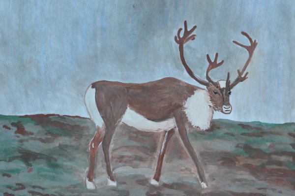 Тундра рисунок карандашом