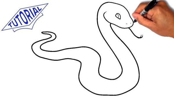 Рисование змеи