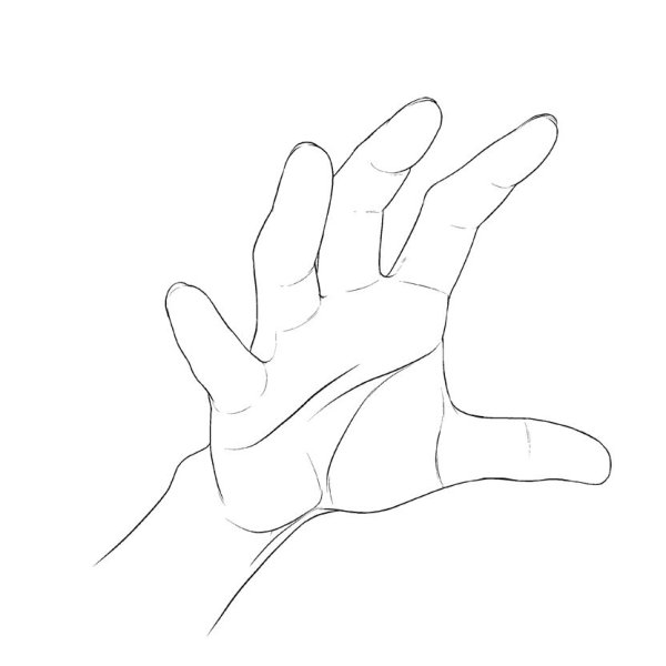 Руки для срисовки