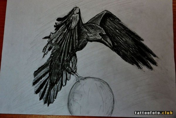 Ворон карандашом