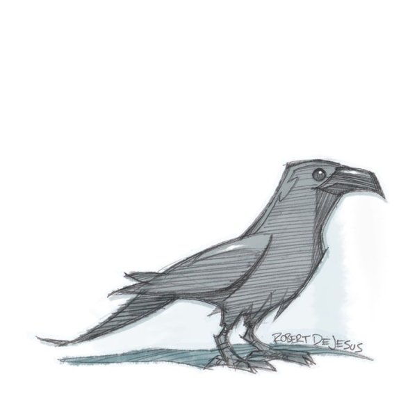 Ворона рисунок карандашом