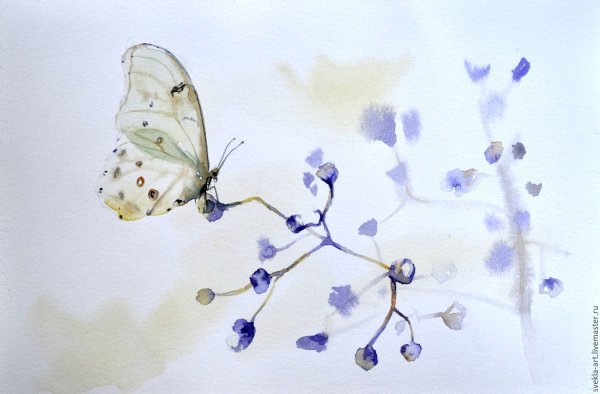 Акварель "бабочка"