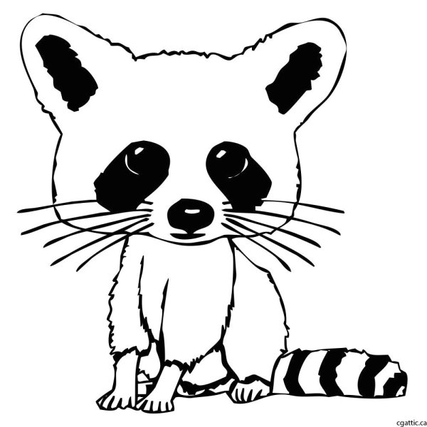 Енот рисунок