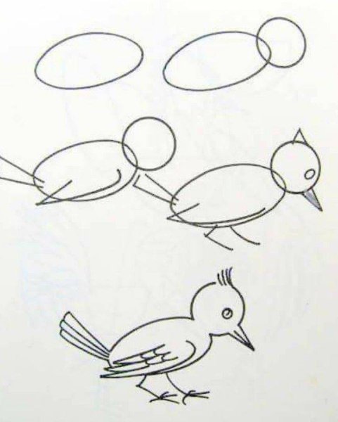 Схемы рисования птиц для дошкольников