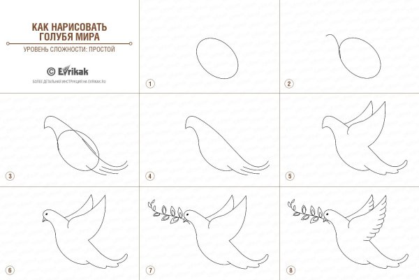 Нарисовать голубя карандашом