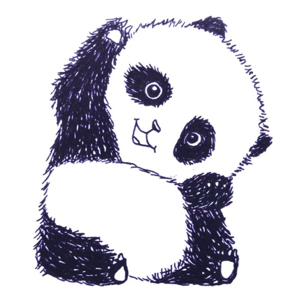 Панда рисунок для срисовки