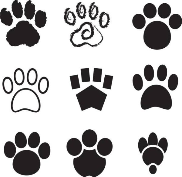 Стилизованная Кошачья лапка