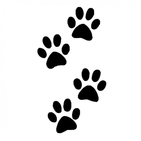 Трафарет лапки