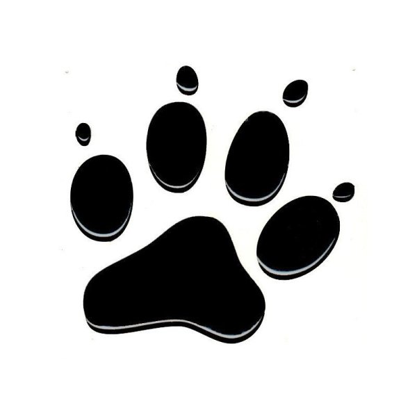 Лапка собаки