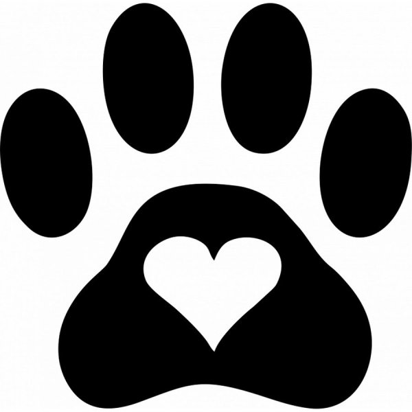 Отпечаток собачьей лапки