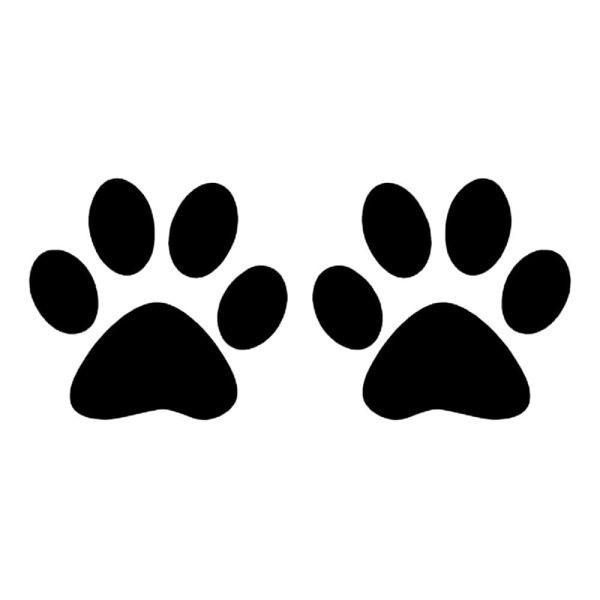 Кошачьи лапки следы