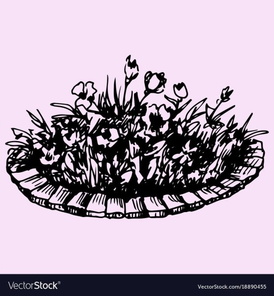 Клумба карандашом