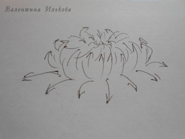 Вышивка лентами хризантемы схемы