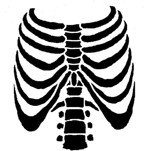 Трафарет грудной клетки скелета