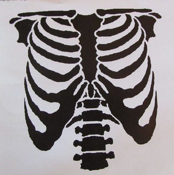 Ребра вектор