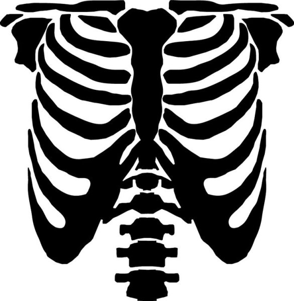 Кости Кощея