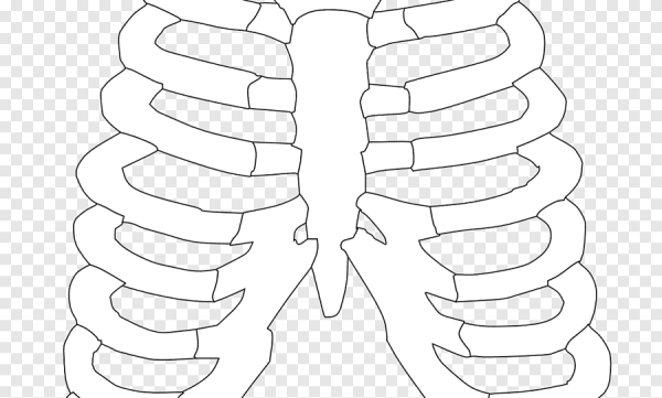 Ребра скелет для костюма
