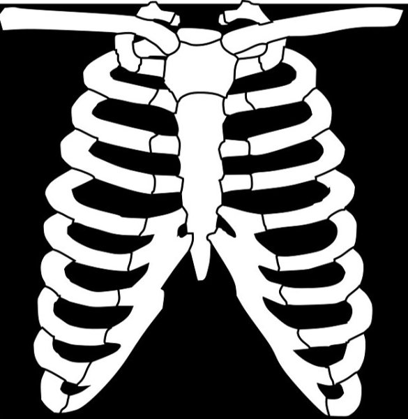 Рёбра rokerveka★