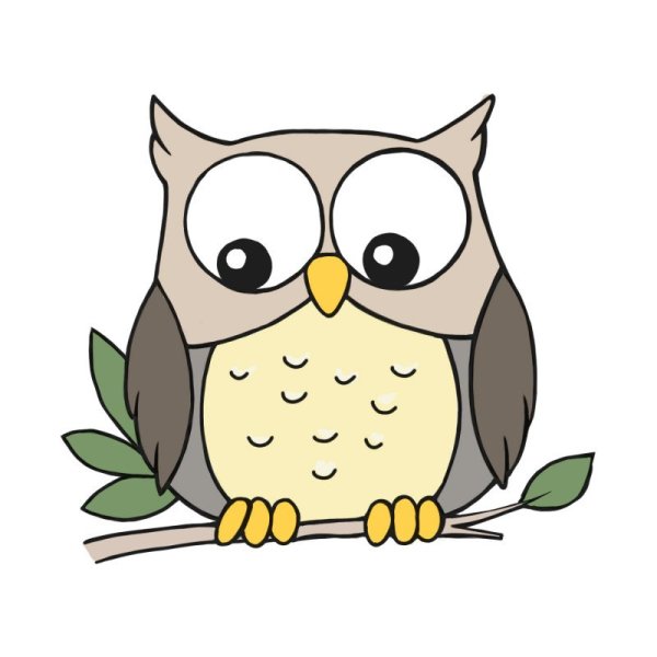 Поэтапное рисование Совы