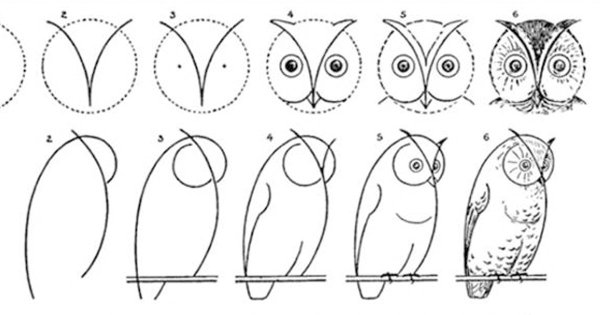 Трафарет Совушки