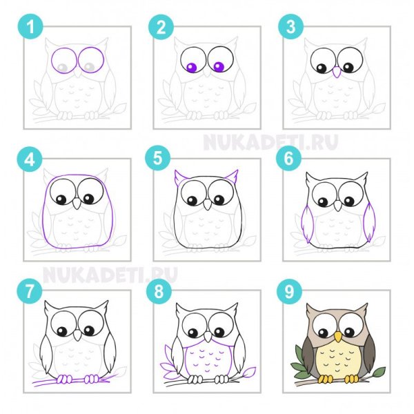 Поэтапное рисование Совы