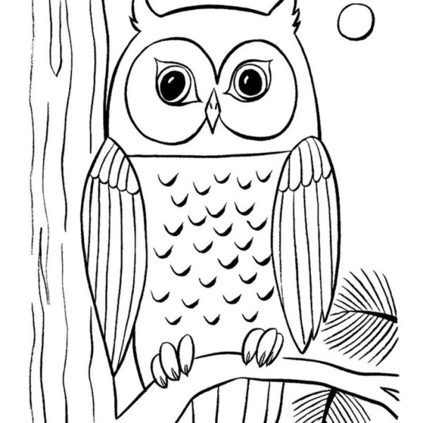 Пошаговое рисование Совы