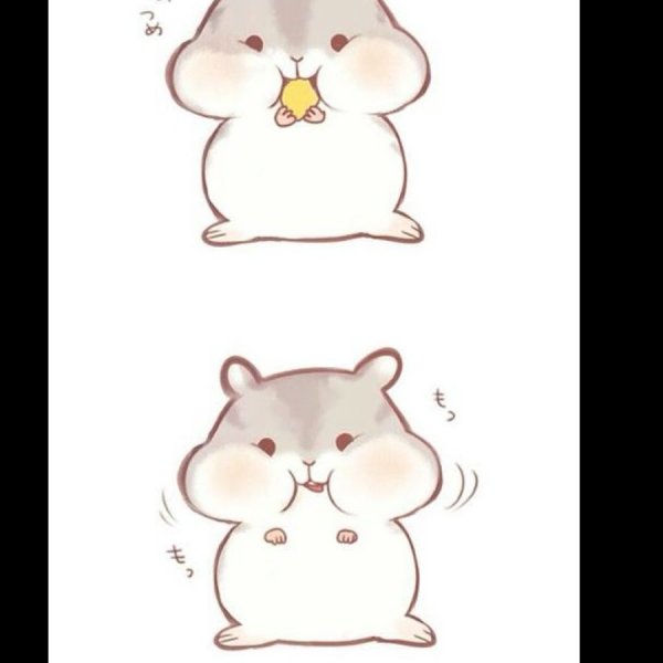 Хомячки для срисовки легкие