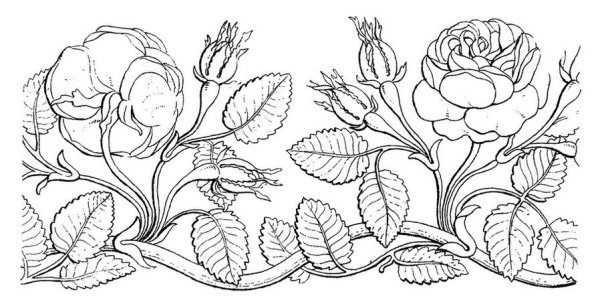 Шиповник орнамент