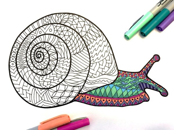 Зентангл улитка