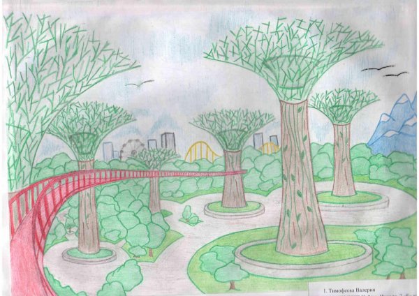 Рисунок парка