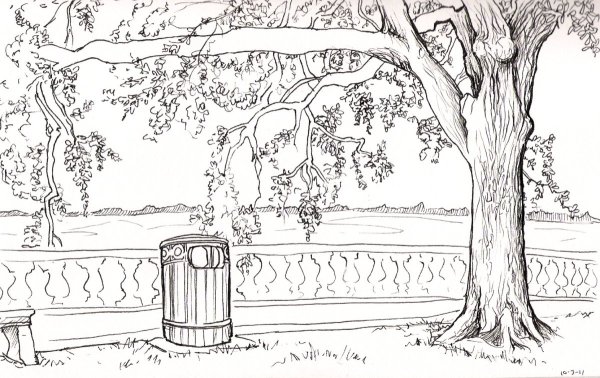 Раскраска парк