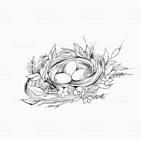 Креативное гнездо скетч
