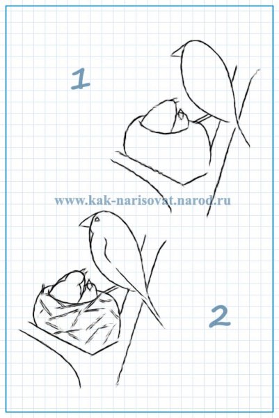 Гнездо карандашом