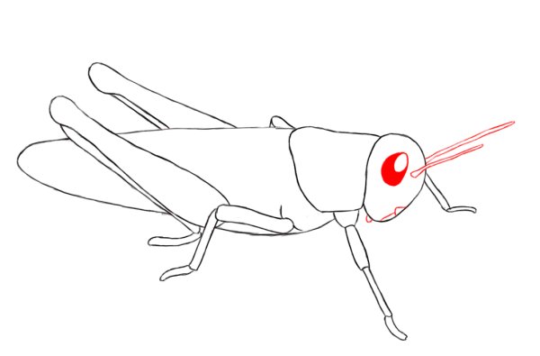 Кузнечик карандашом