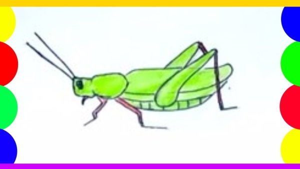 Кузнечик для рисования