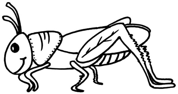 Кузнечик Графика