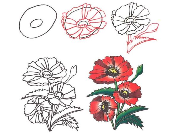 Мак рисунок для детей